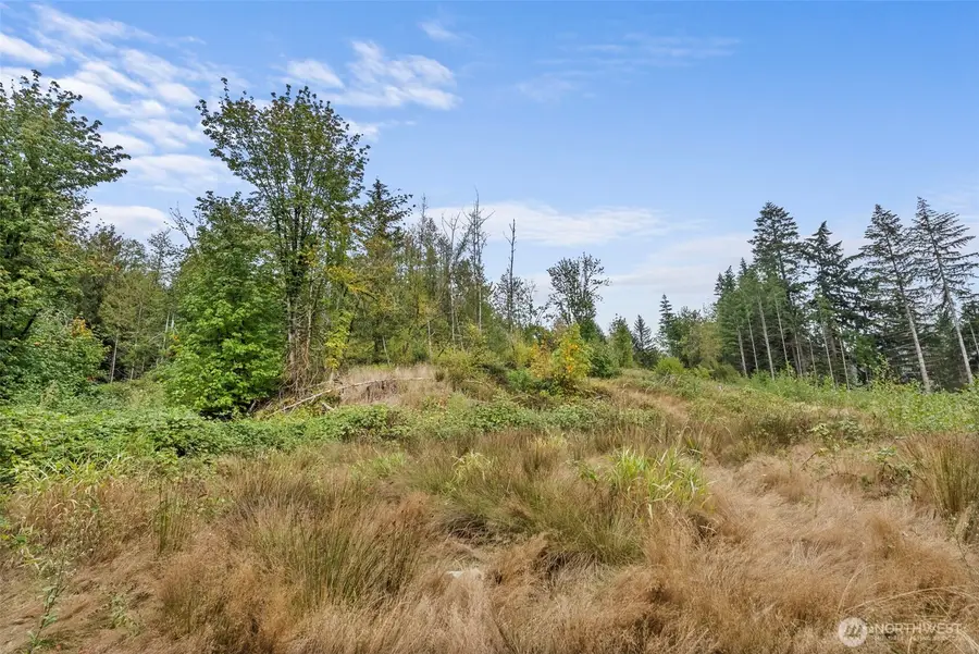 0 Coal Creek (lot 2) Road, Chehalis, WA 98532 - #3