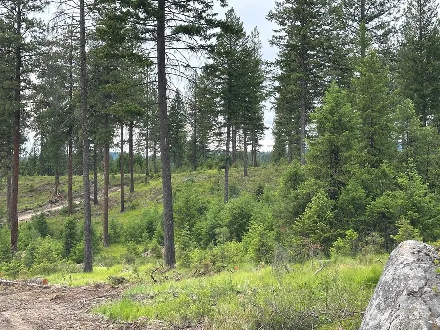 3600 Sheridan Road, Republic, WA 99166 - #3