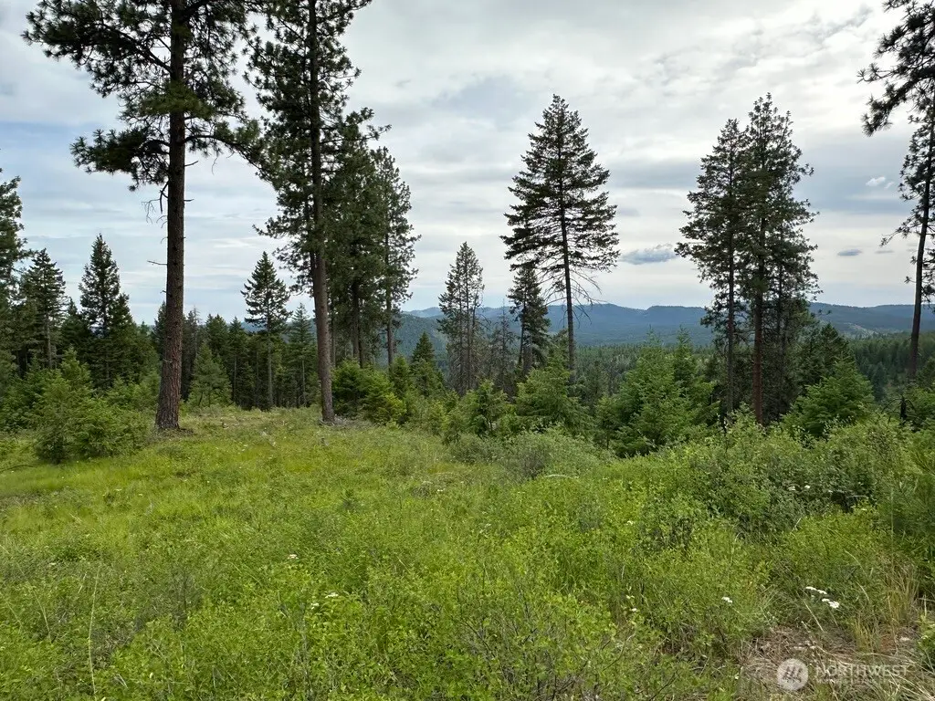 3600 Sheridan Road, Republic, WA 99166 - #1