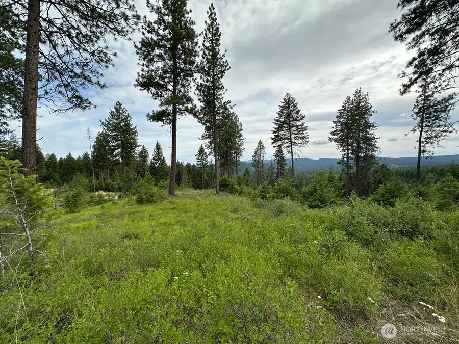 3600 Sheridan Road, Republic, WA 99166 - #2