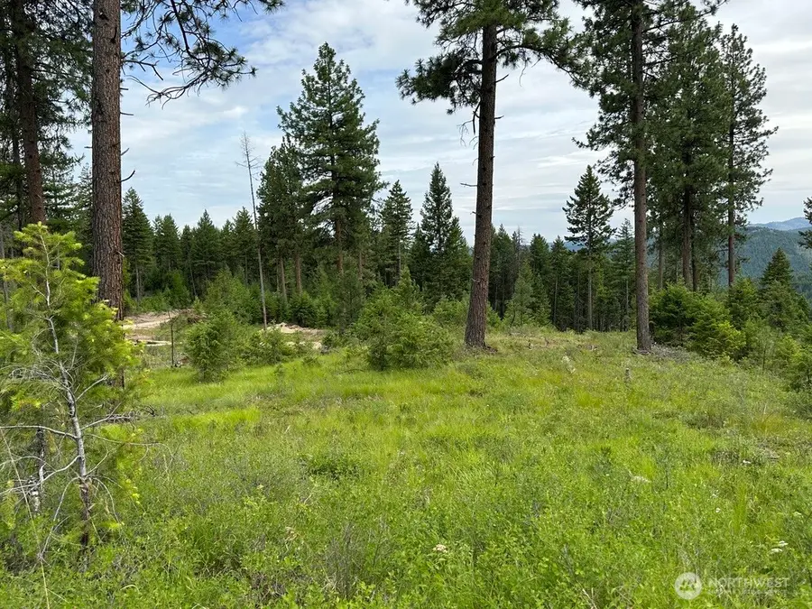 3600 Sheridan Road, Republic, WA 99166 - #3