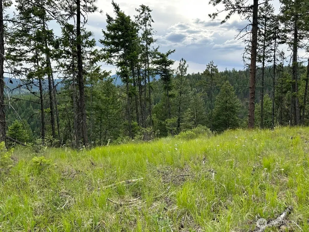 3600 Sherian Road, Republic, WA 99166 - #1