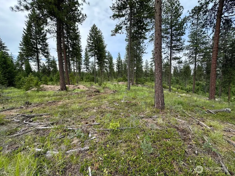 3600 Sherian Road, Republic, WA 99166 - #3