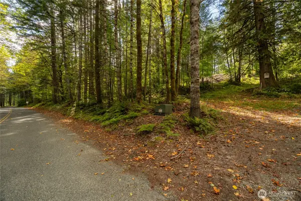 350 Craig Road #9, Packwood, WA 98361