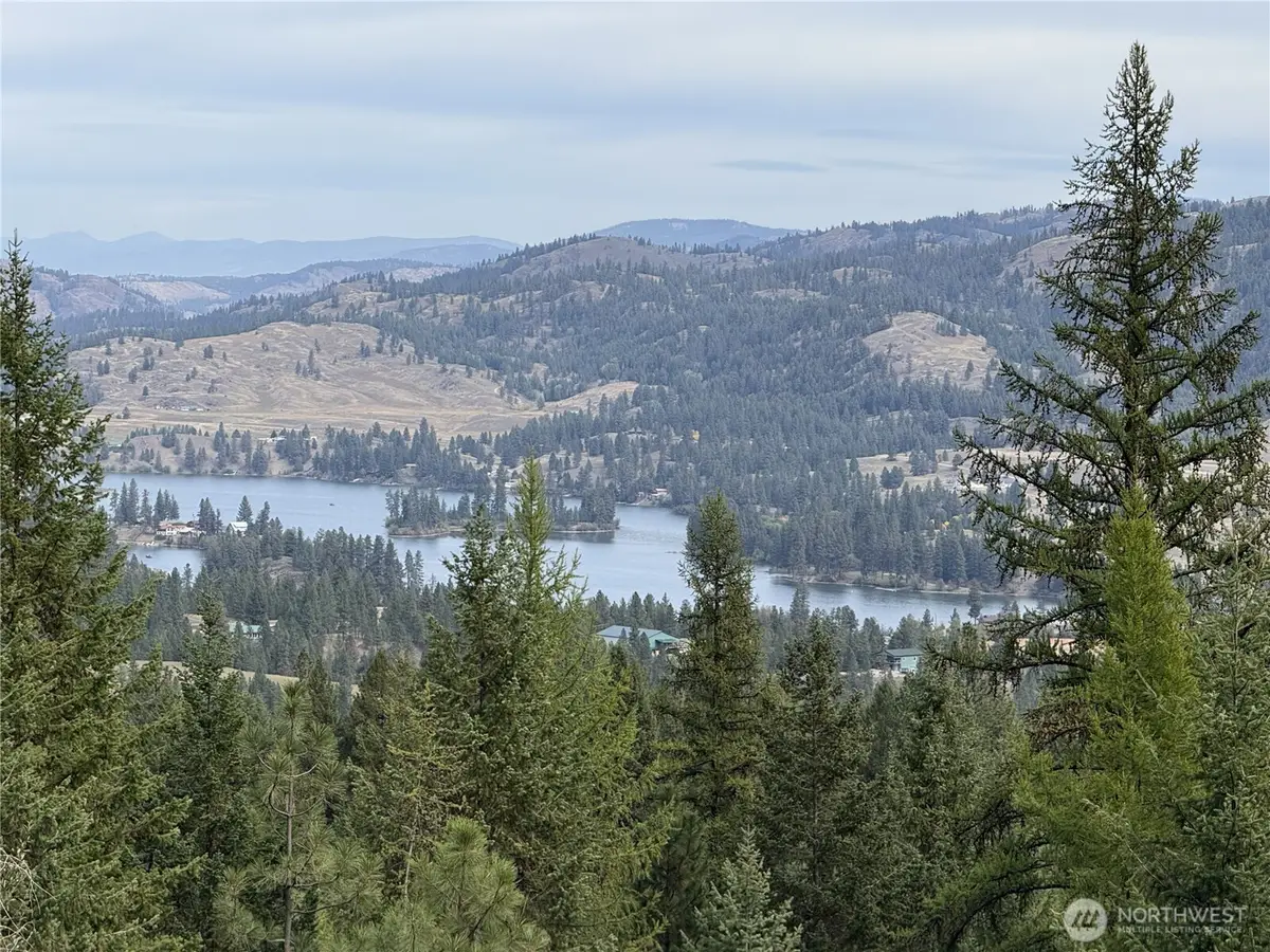 4 Lakeview Drive #4, Republic, WA 99166 - #1