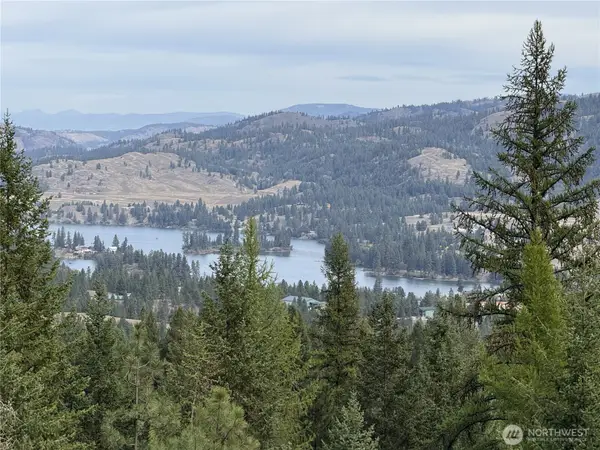4 Lakeview Drive #4, Republic, WA 99166