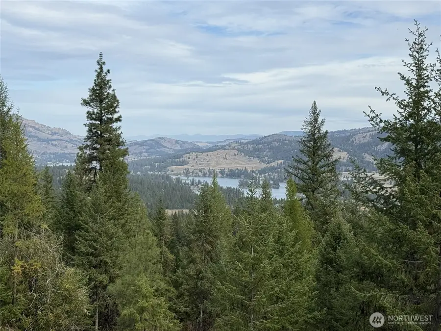 4 Lakeview Drive #4, Republic, WA 99166 - #2