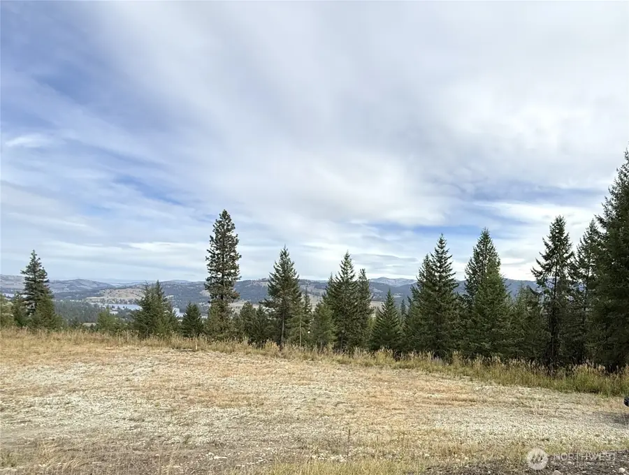 4 Lakeview Drive #4, Republic, WA 99166 - #3