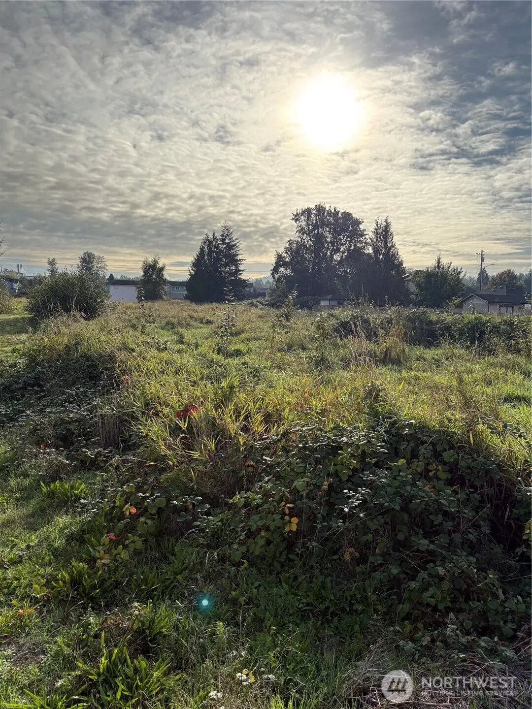 316 3rd Avenue N, Algona, WA 98001 - #1