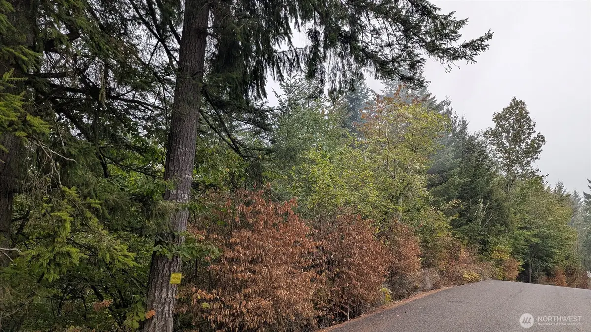 0 Loop Road, Centralia, WA 98531 - #1
