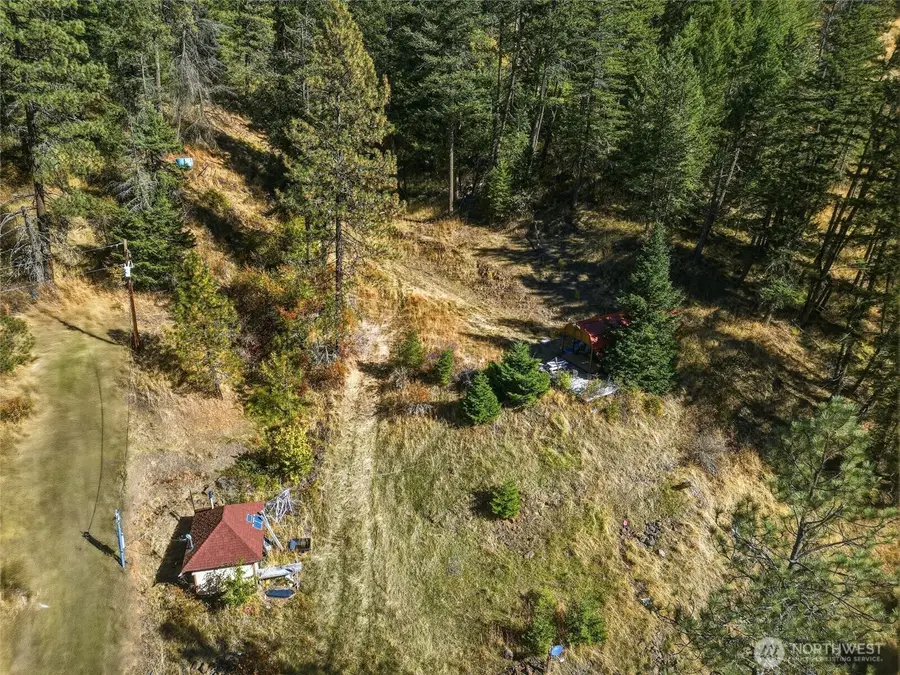 1737 Scott Road, Dixie, WA 99329 - #3