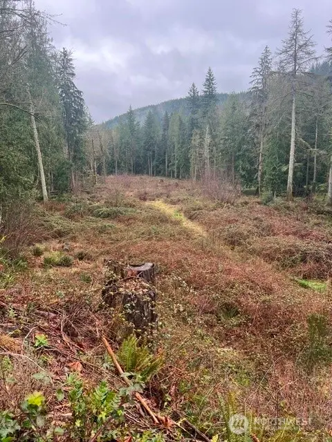 27635 SE Mud Mountain Road, Enumclaw, WA 98022