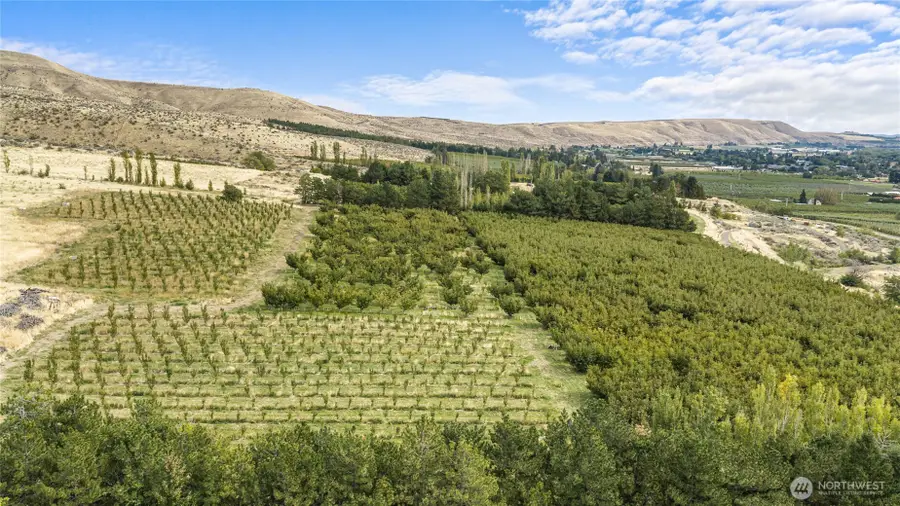 2031 Cleman Drive, Naches, WA 98937 - #3