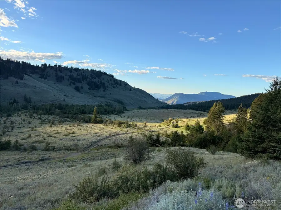 0 Chopaka Mountain Rd., Loomis, WA 98827 - #2