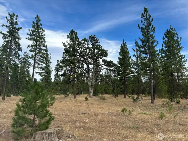 0 Greyback Mt Road #5, Goldendale, WA 98620