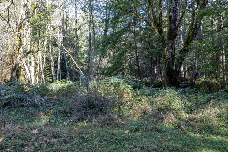 32101 Kolisch Road E, Carbonado, WA 98323 - #3