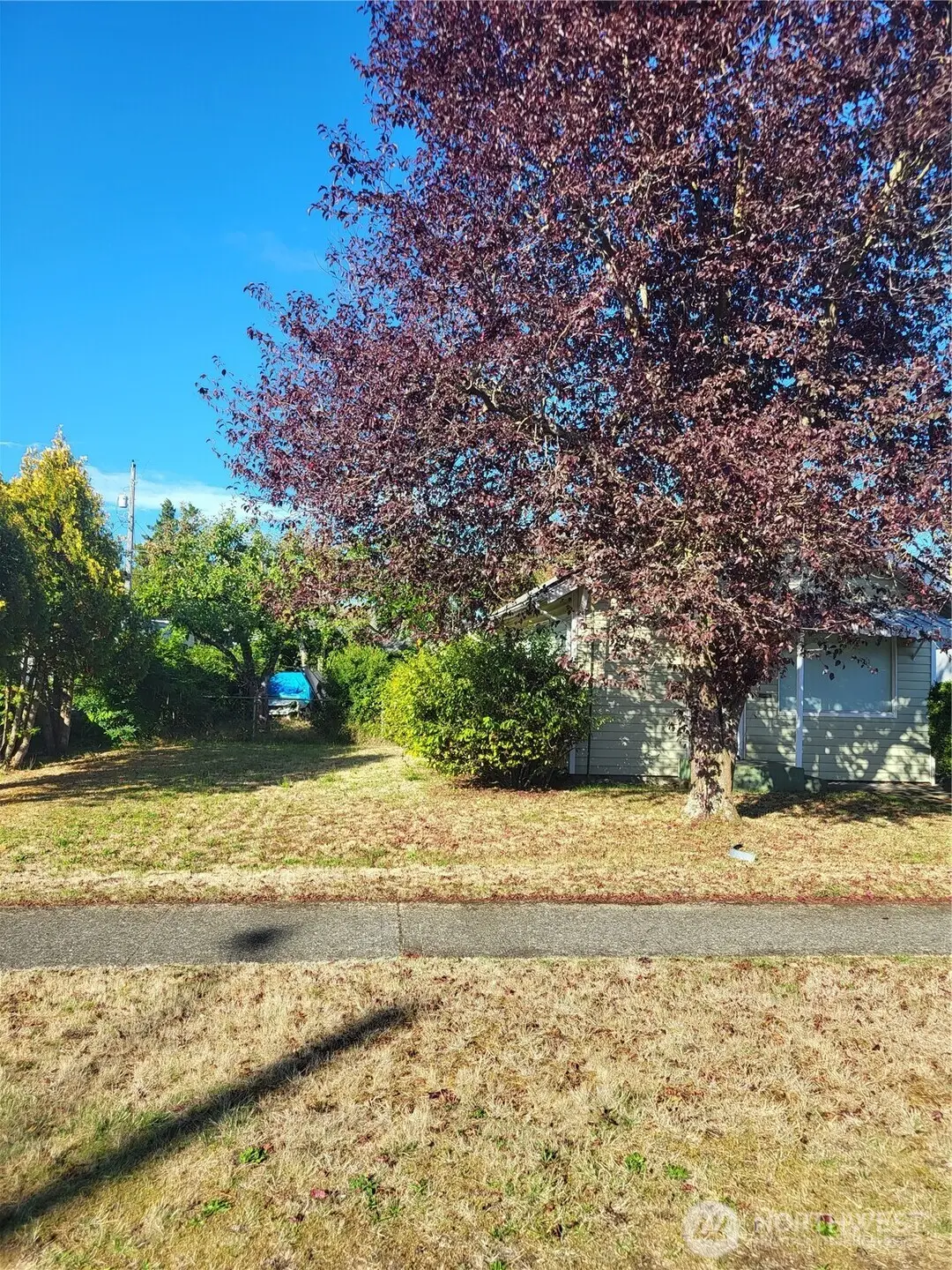 6814 S Lawrence Street, Tacoma, WA 98409 - #1