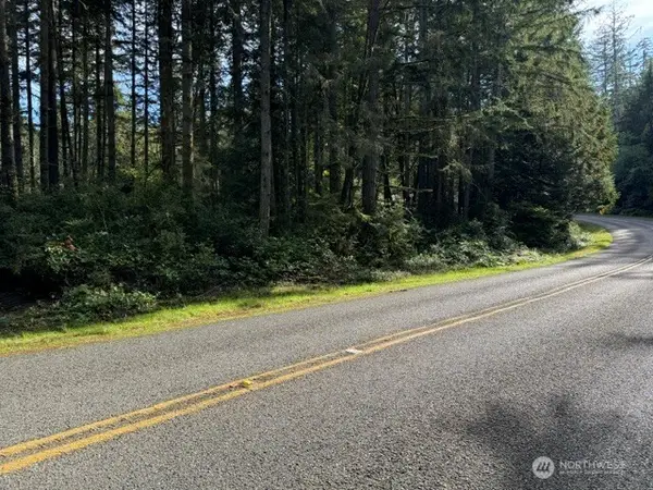 11503 Lake Josephine Avenue #63, Anderson Island, WA 98303