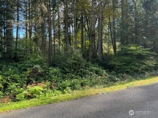 11503 Lake Josephine Avenue #63, Anderson Island, WA 98303 - #2