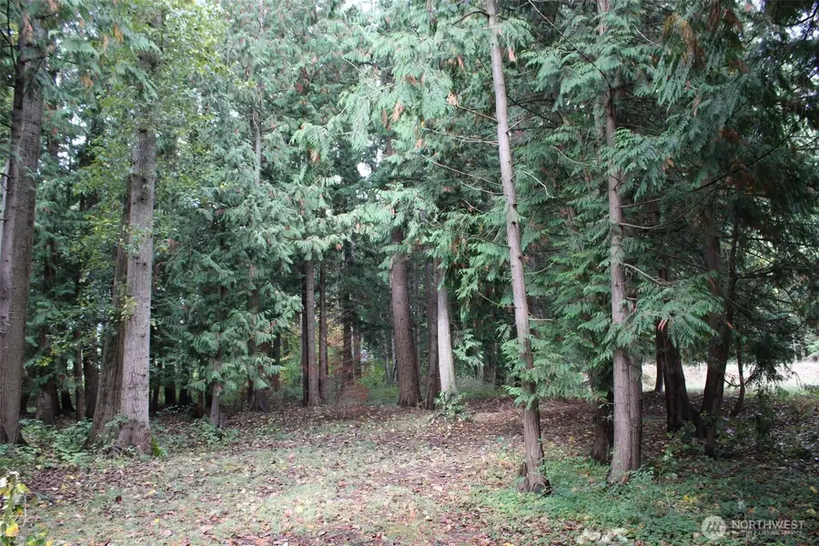 1640 Harksell Road, Ferndale, WA 98248 - #3