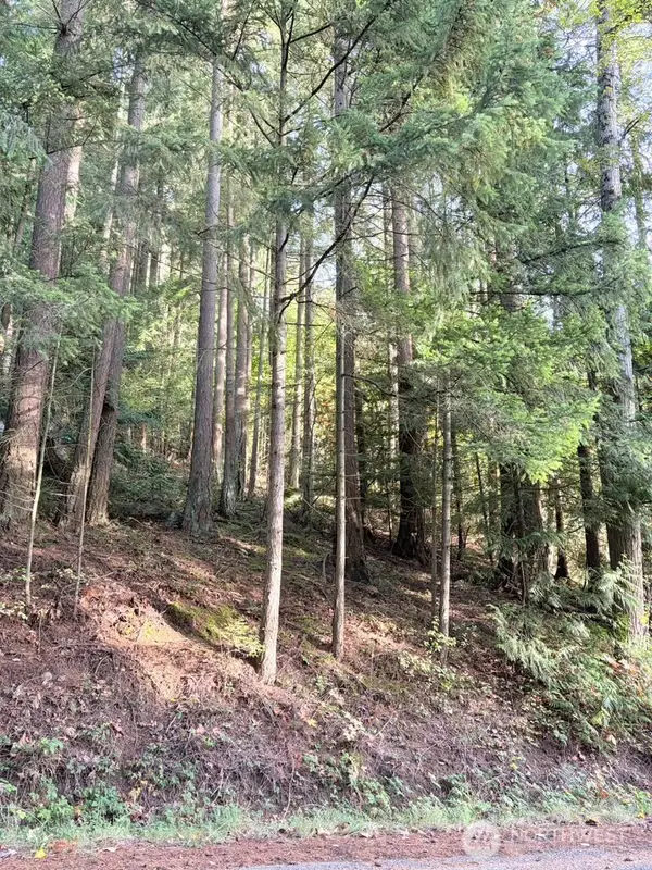 0 Emerald Lake Lot# 122 Way #122, Bellingham, WA 98226