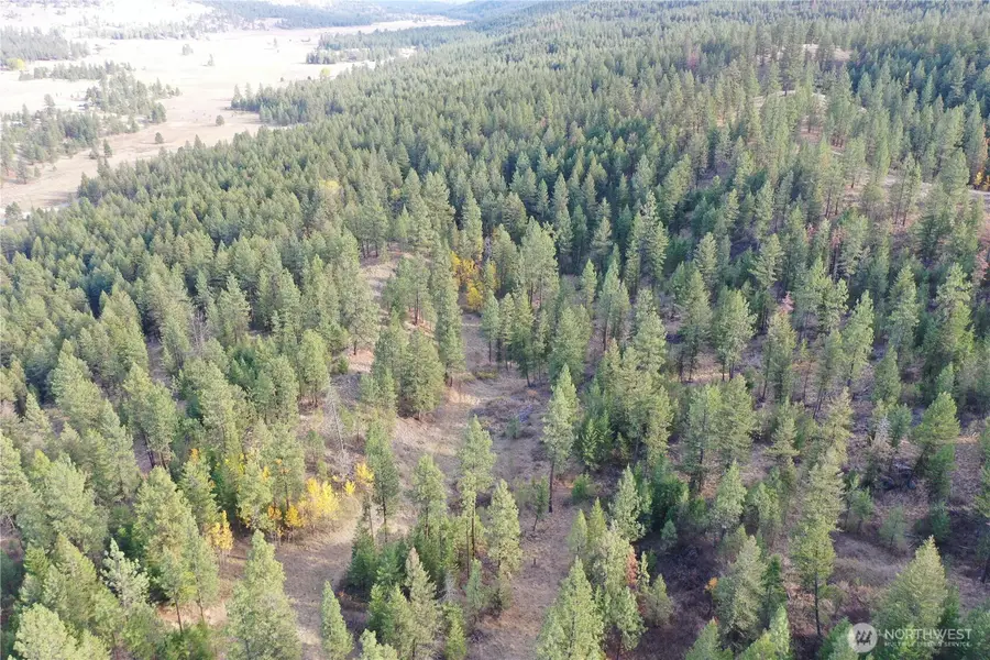 9 Marmot Alley Road, Tonasket, WA 98855 - #2