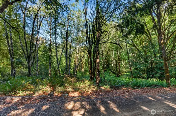 300 Partridge Drive Nw, Olympia, WA 98502