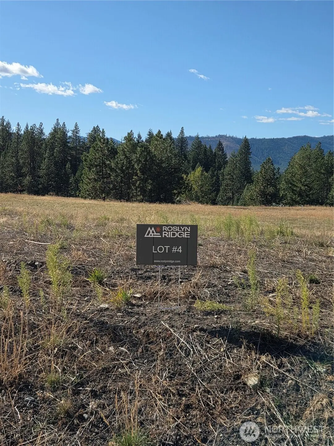 4 Rockrose Drive #4, Ronald, WA 98940 - #1