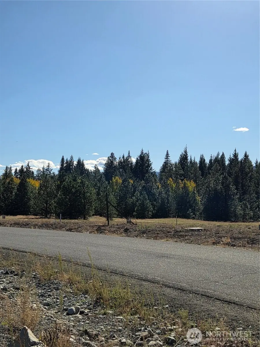 8 Rockrose Drive #08, Ronald, WA 98940 - #3
