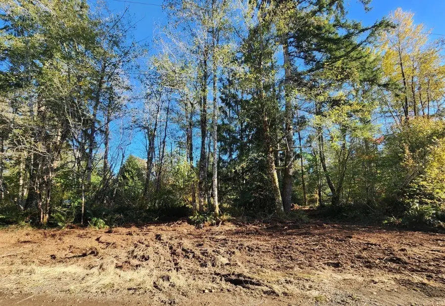 1 W Hamma Hamma Drive #Lot  50, Elma, WA 98541 - #3