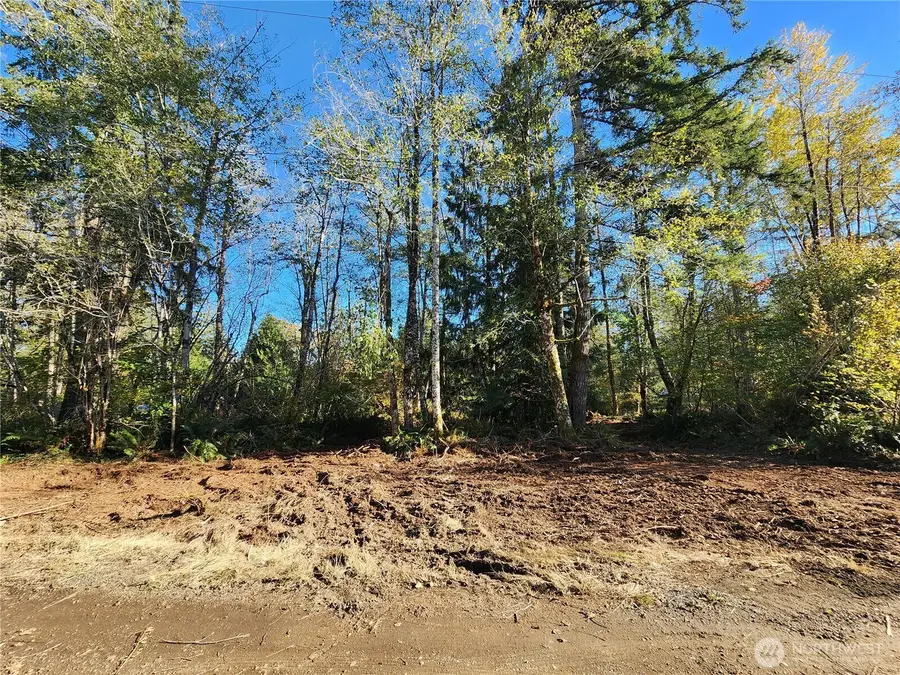 11 W Hamma Hamma Drive #Lot  51, Elma, WA 98541 - #3
