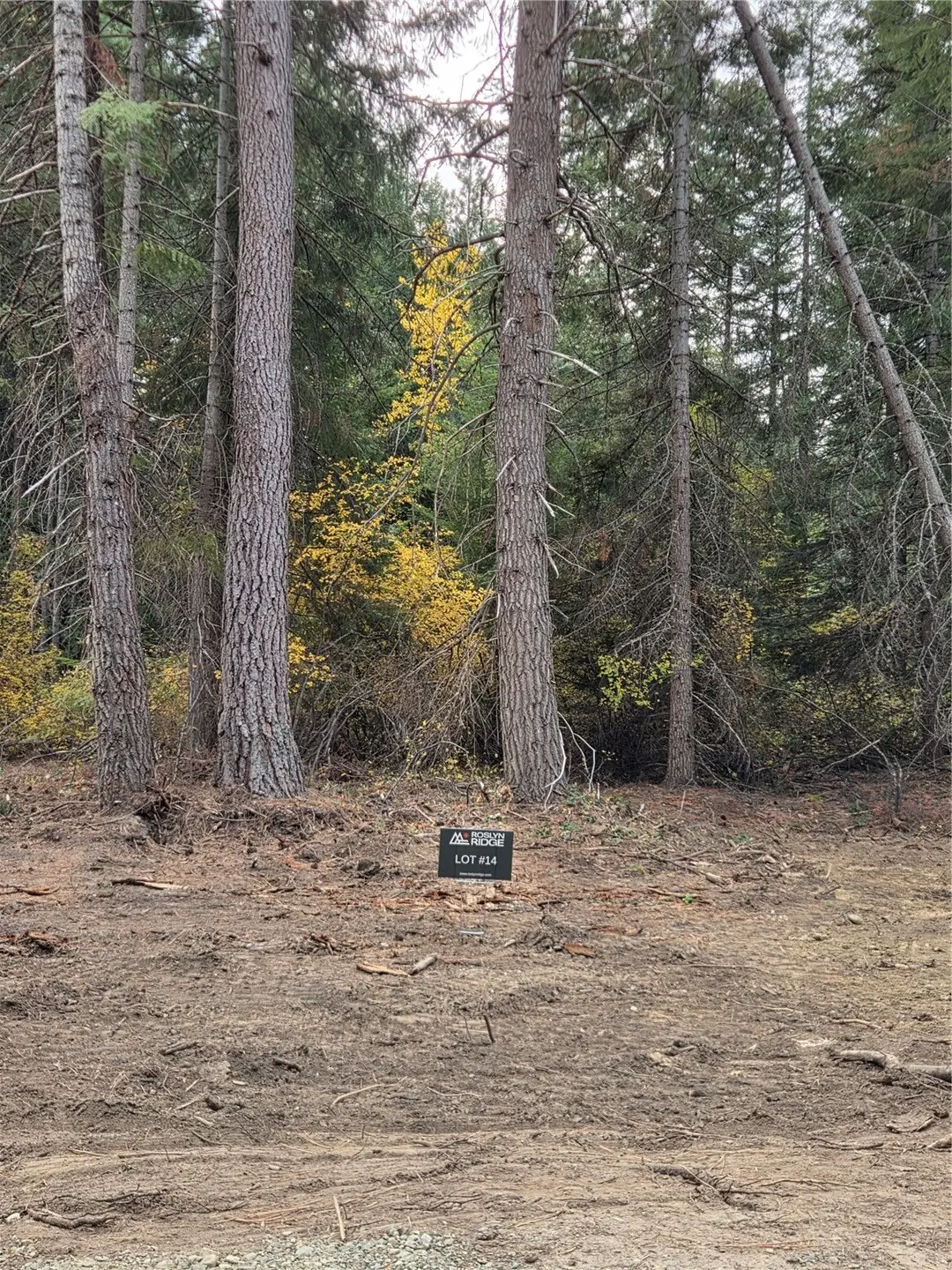 14 Rock Cress Lane #14, Ronald, WA 98940 - #1