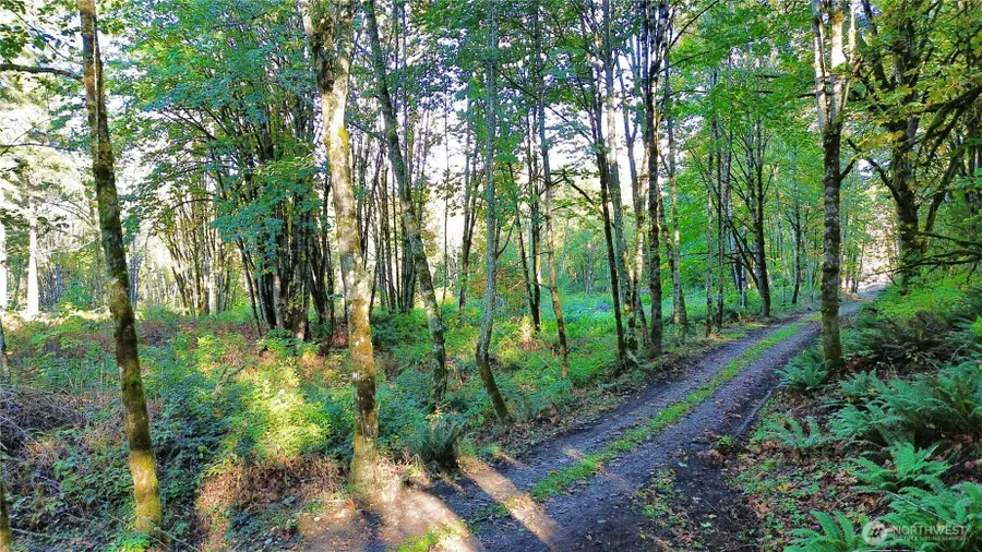 120 308th Avenue Ne #3, Duvall, WA 98019 - #3