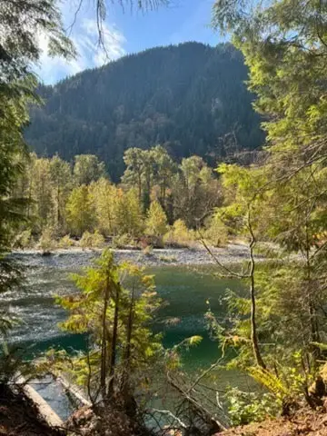0 NE 196th St #4, Baring, WA 98224 - #2