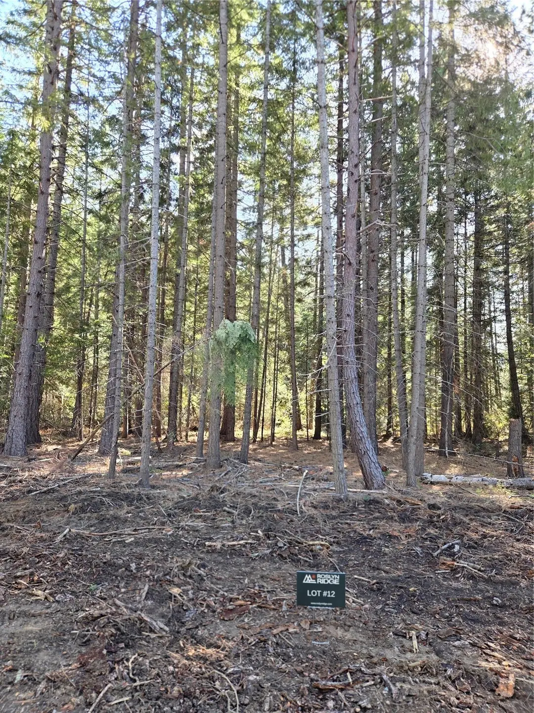 12 Rock Cress Lane #012, Ronald, WA 98940 - #1