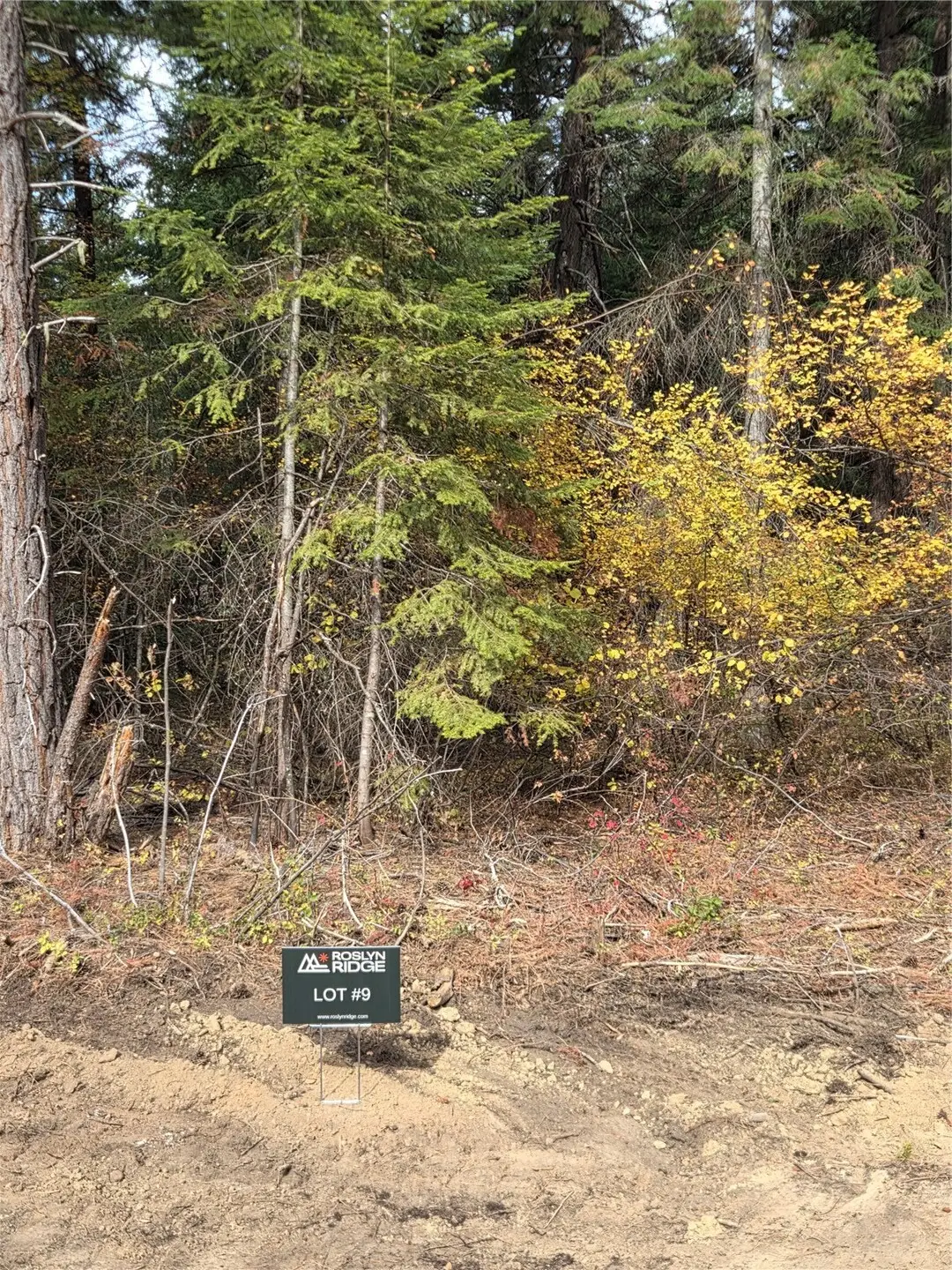 9 Rock Cress Lane #009, Ronald, WA 98940 - #1