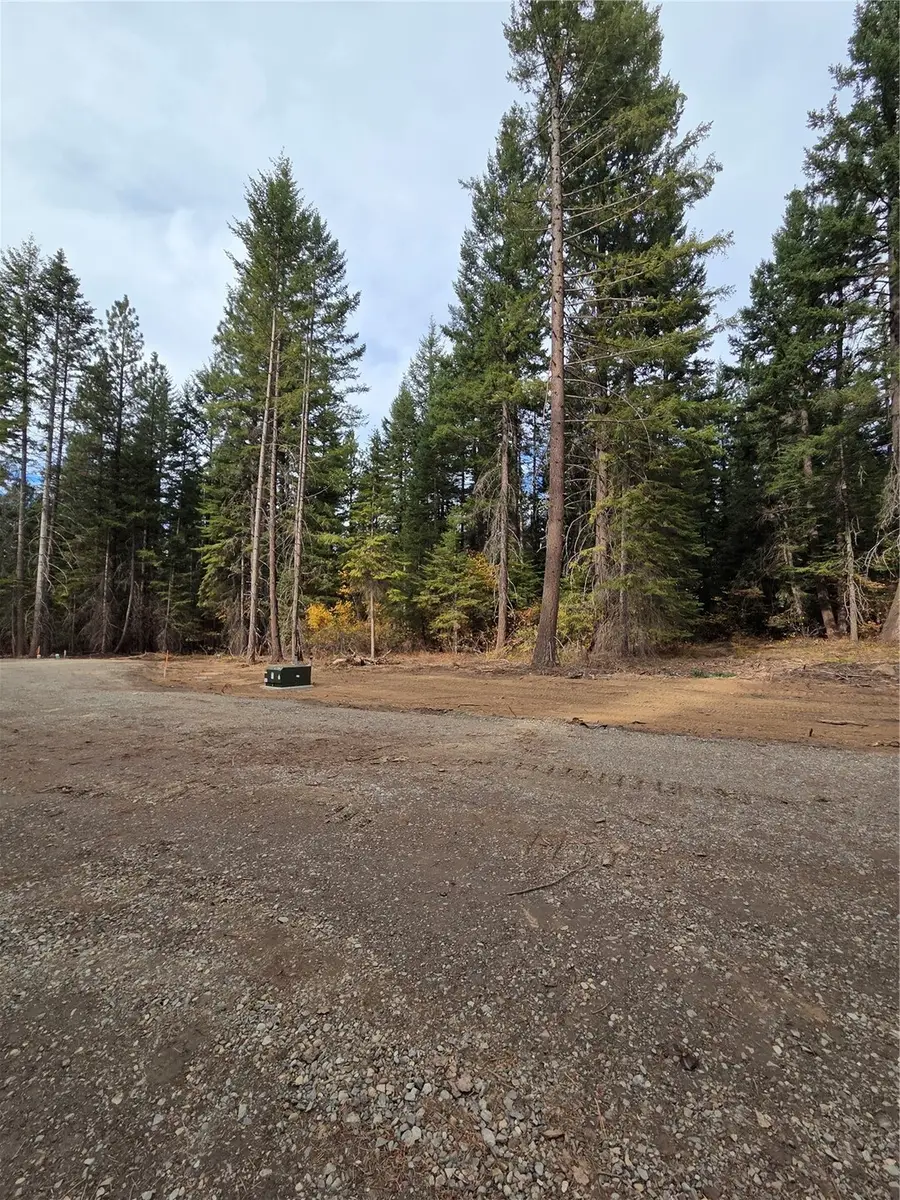 9 Rock Cress Lane #009, Ronald, WA 98940 - #3