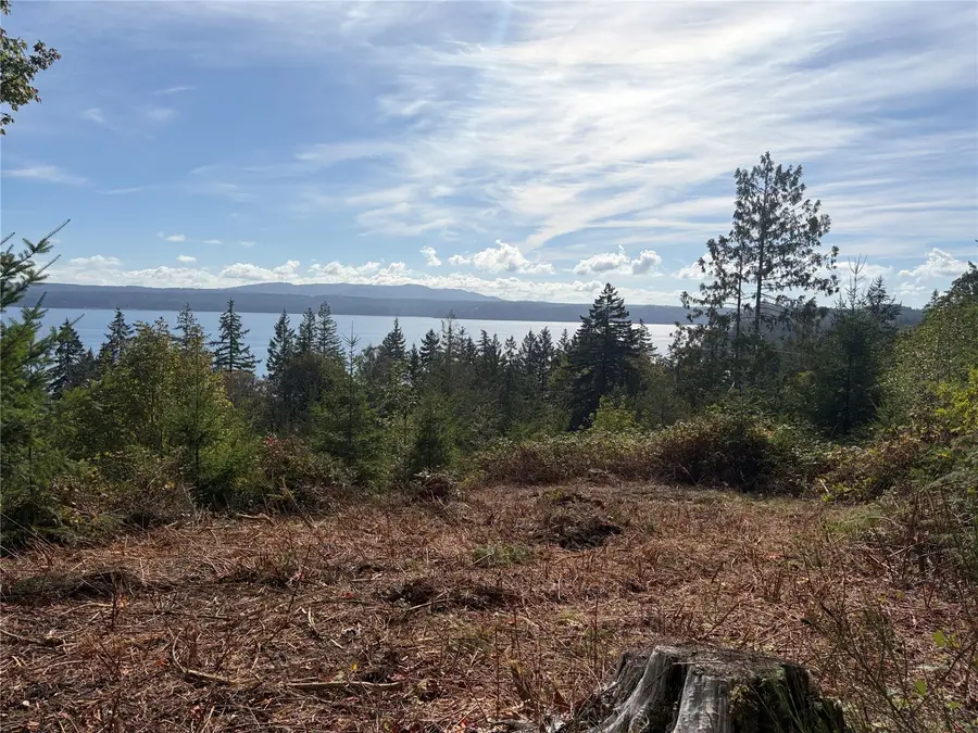 0 Juanita Drive, Brinnon, WA 98320 - #3
