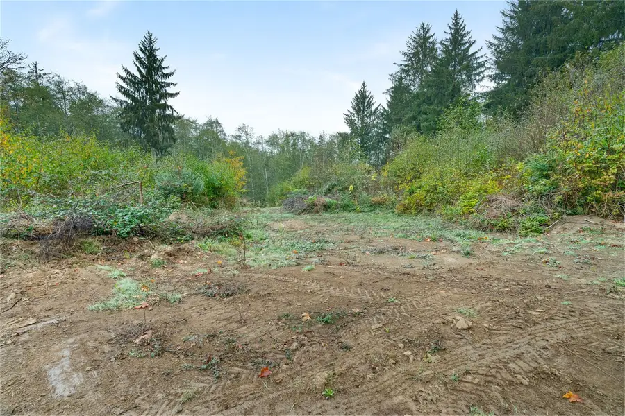 0 Wilkie Lane, Montesano, WA 98563 - #3