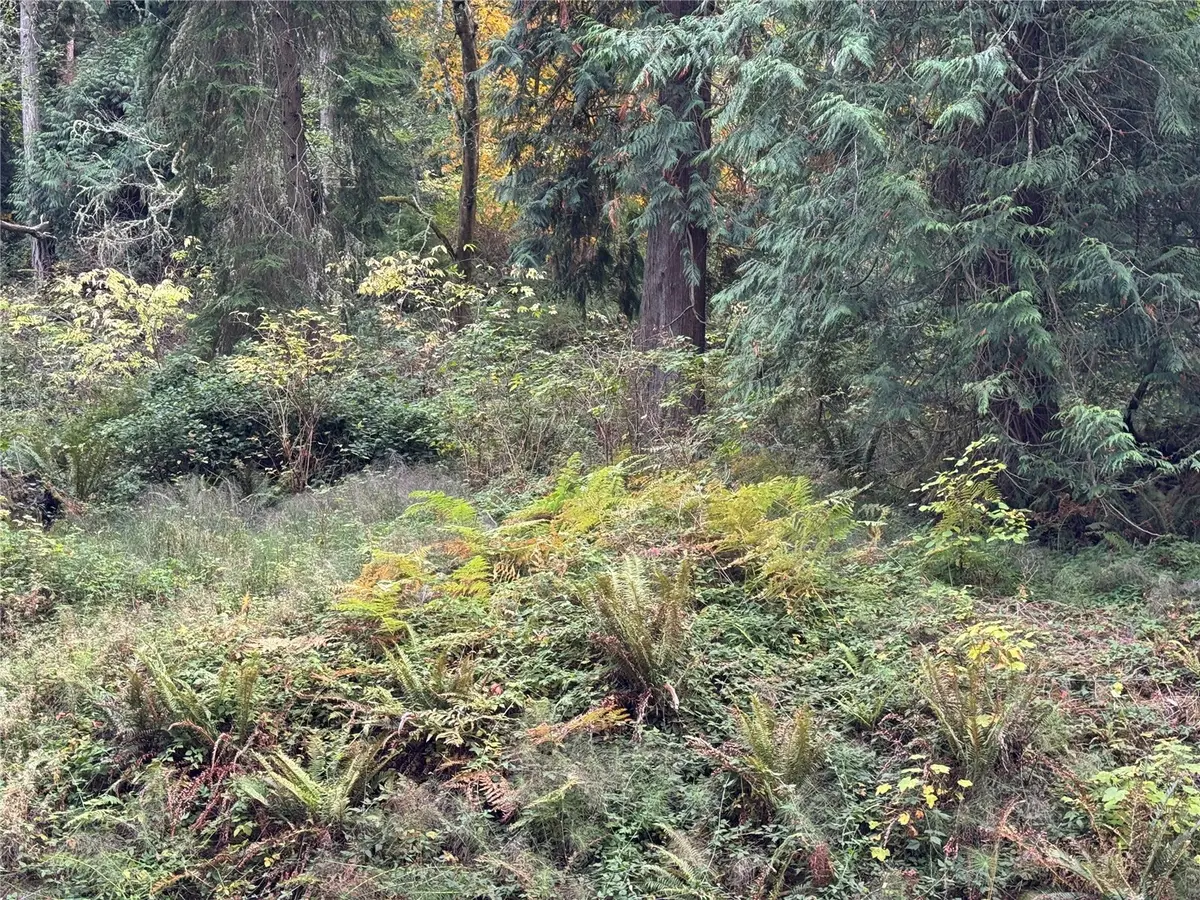 12173 SW Cedarhurst Road, Vashon, WA 98070 - #1