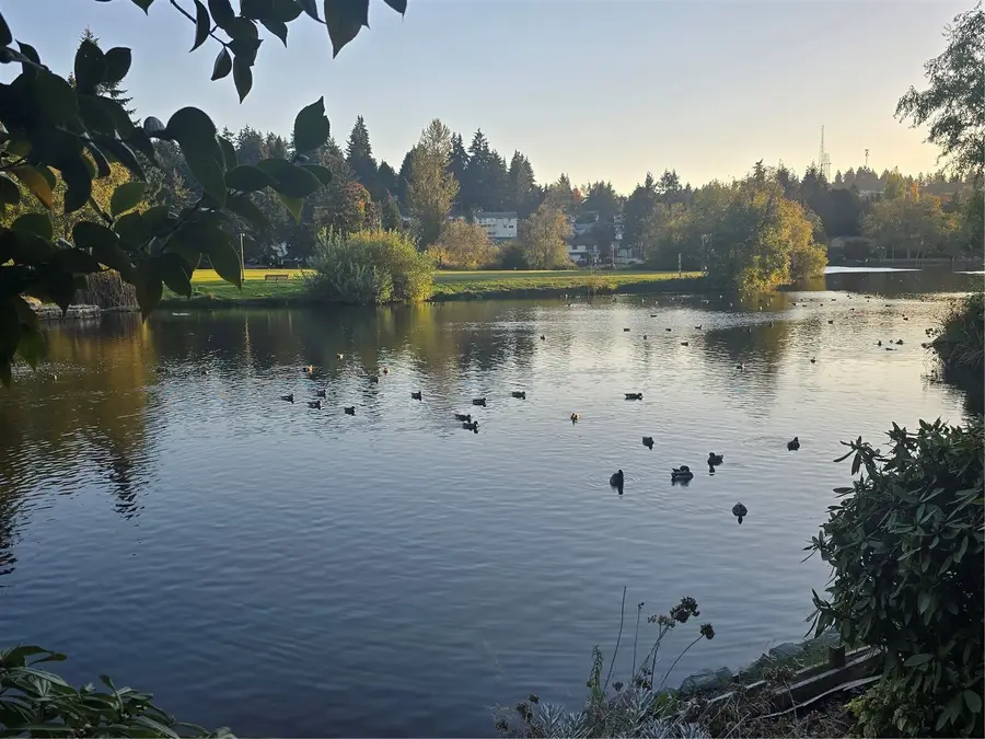 4123 SW 322nd Street, Federal Way, WA 98023 - #2