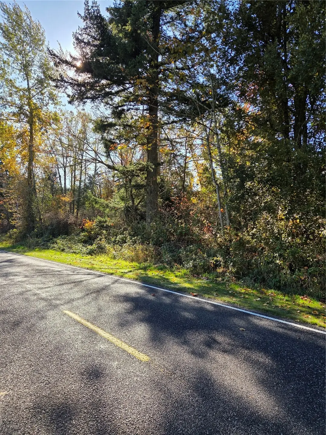 95 Harvey Road, Blaine, WA 98230 - #1