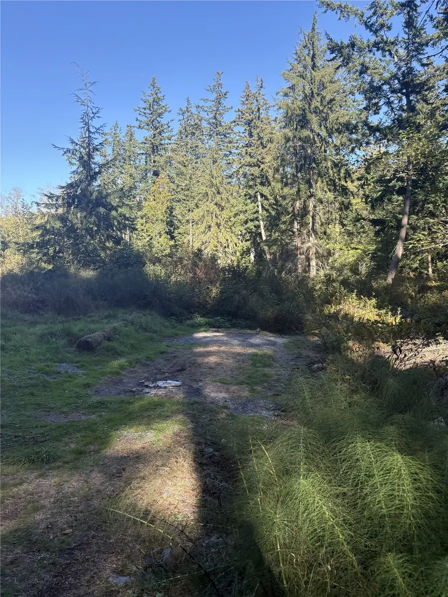 473 Boyer Lane, Freeland, WA 98249 - #3