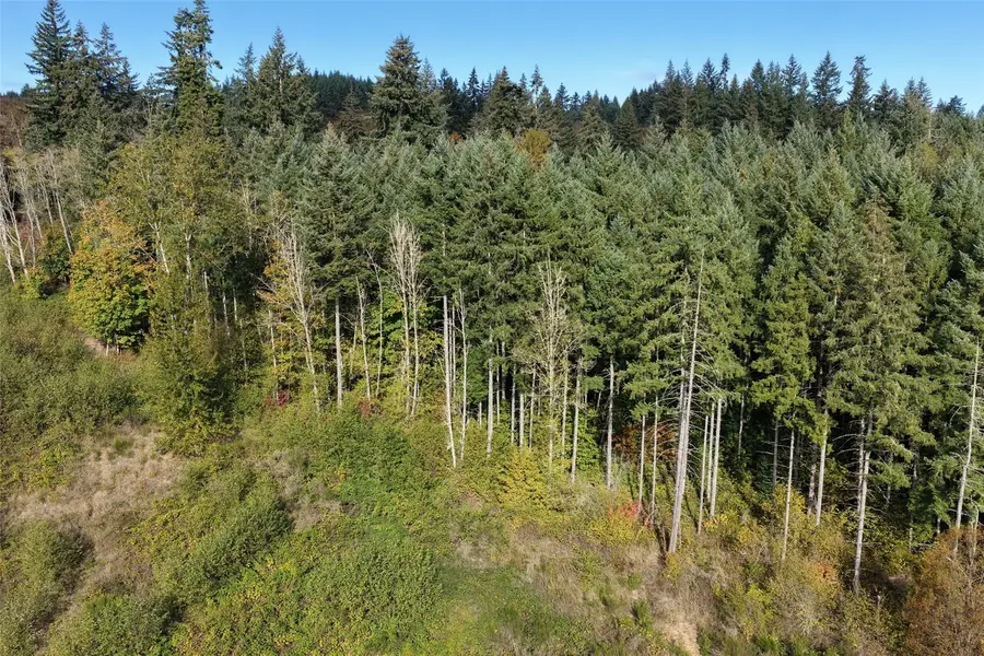 0 NE Jenny Creek Road, La Center, WA 98629 - #3