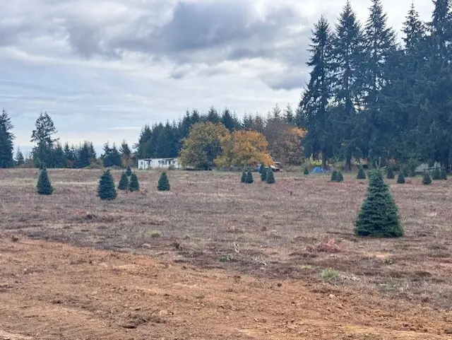 0 Tennessee Road #A, Winlock, WA 98596 - #3