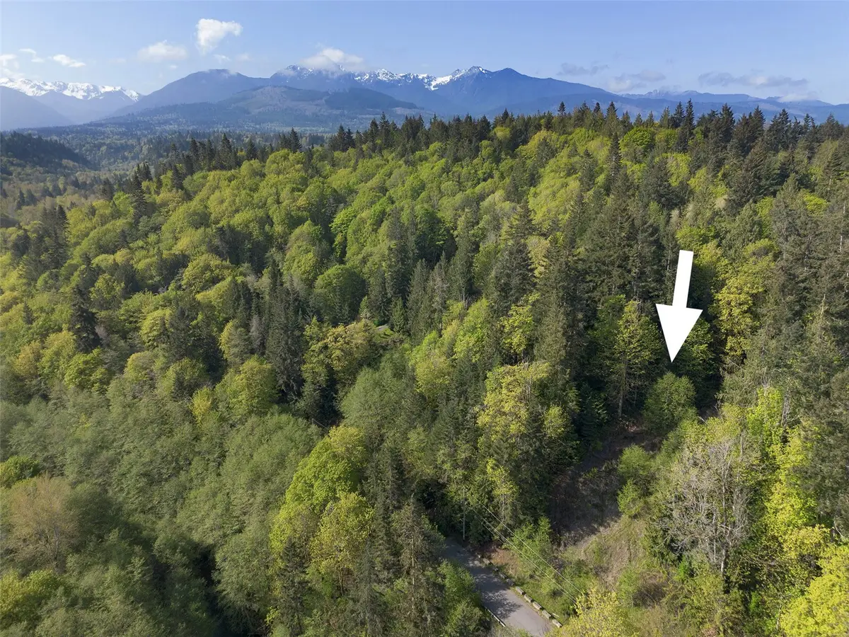 9999 Cottonwood Lane, Port Angeles, WA 98362 - #1