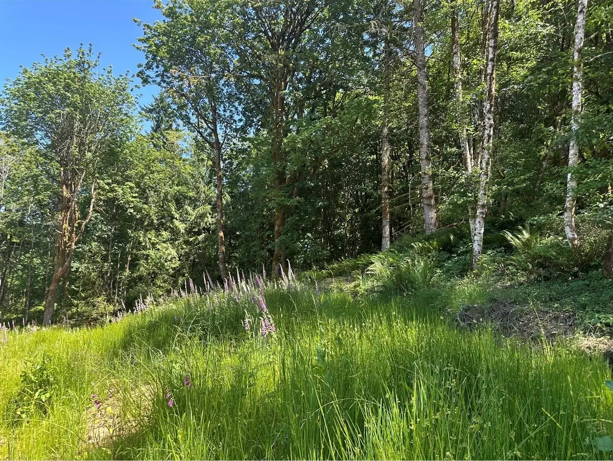 44 Mccary Road Sw, Bremerton, WA 98312 - #1