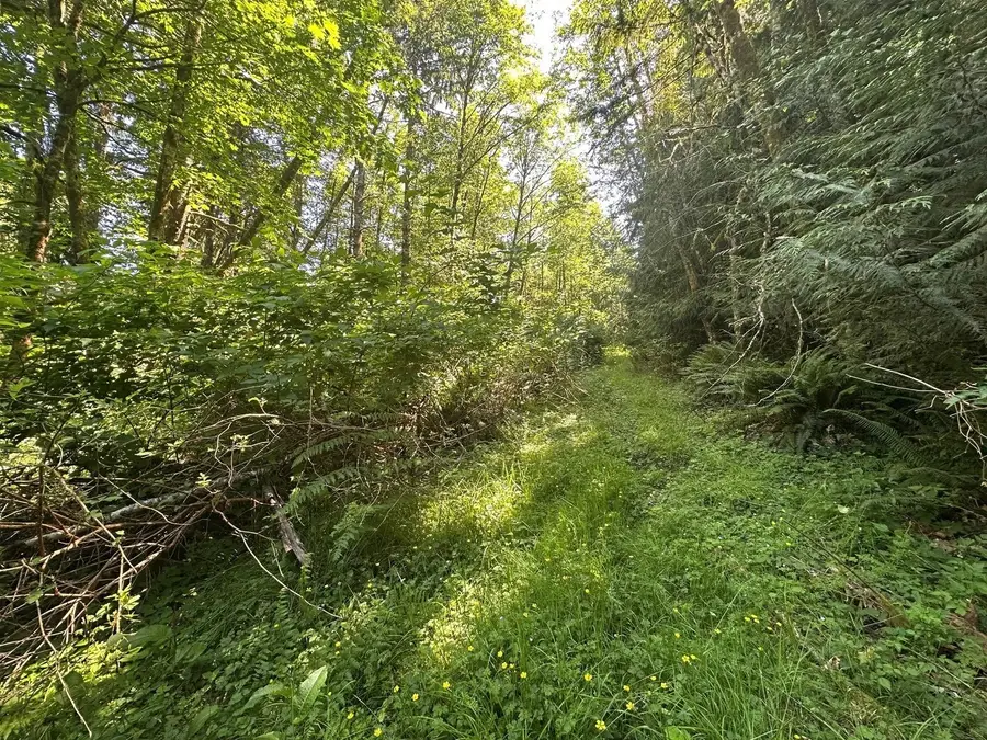 44 Mccary Road Sw, Bremerton, WA 98312 - #3