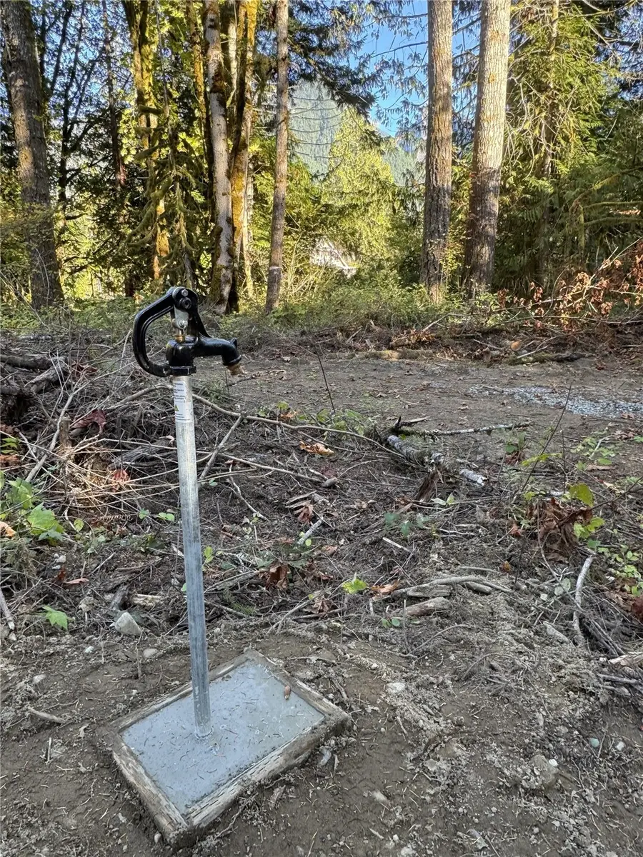 0 Agate Lane #36, Index, WA 98256 - #3