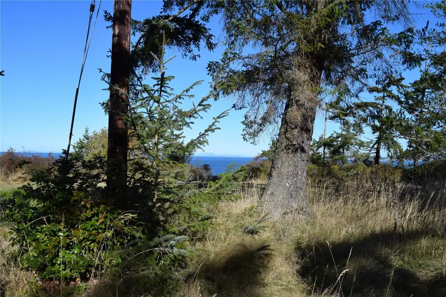 0 Corner Of Cook Ave. And 53rd, Port Townsend, WA 98368 - #2
